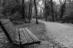 grayscale photo of wooden bench