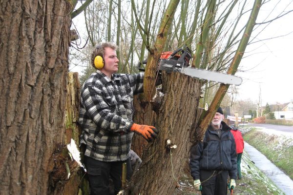 vrijwilligersochtend-boom-snoeien